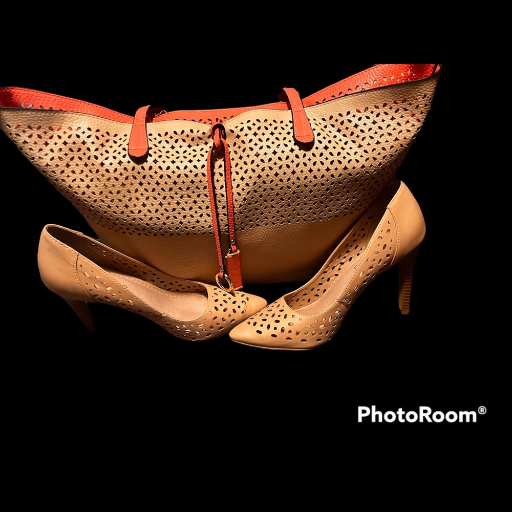 Restricted Heels With Matching Totes With Organiz… - image 1